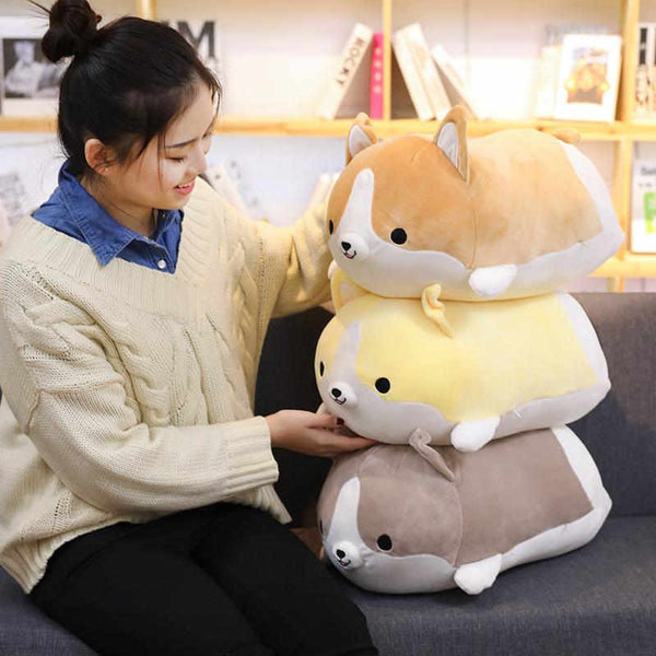 Boy toys corgis stacked on top of each other, with lady Asian model 